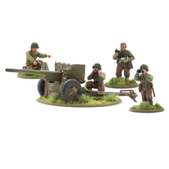 Stars and Stripes US Starter Army