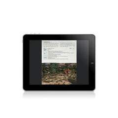 Digital Armies of Imperial Japan eBook