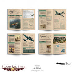 Blood Red Skies: Air Strike