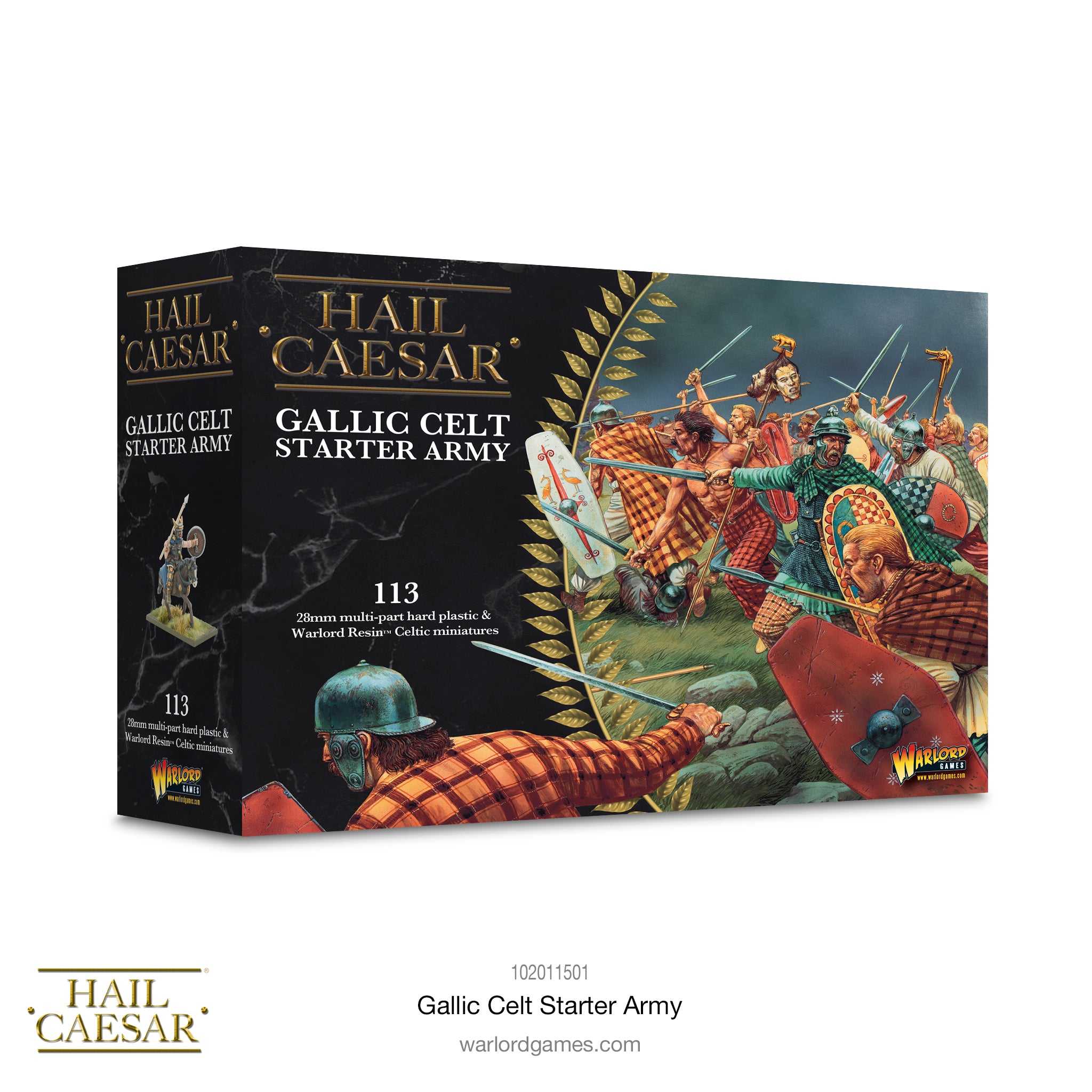 Hail Caesar: Gallic Celt Starter Army