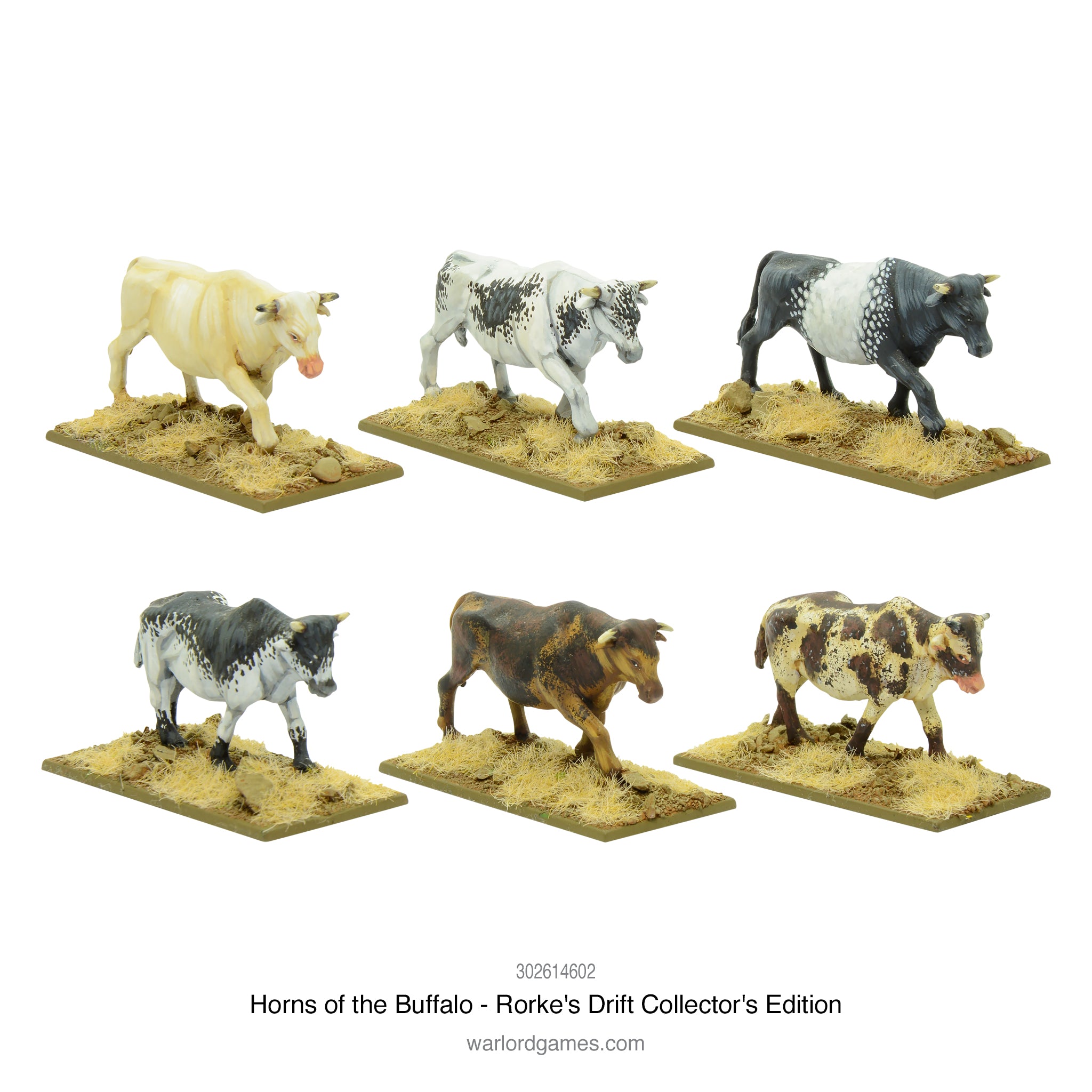 Horns of the Buffalo - Rorke's Drift collectors edition