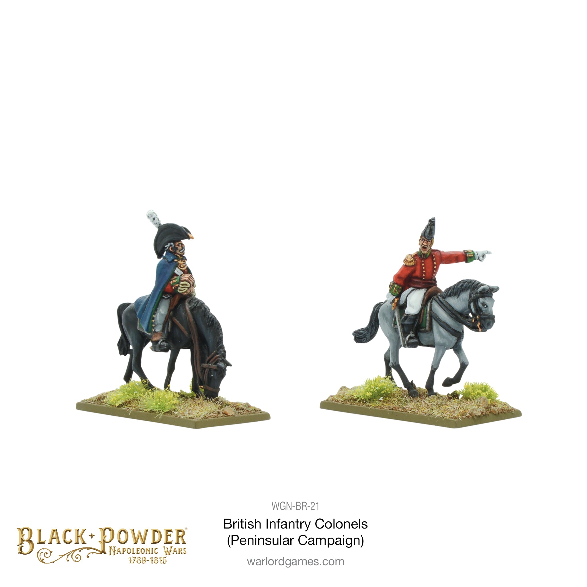 Mounted Napoleonic British Infantry Colonels (Peninsular War)