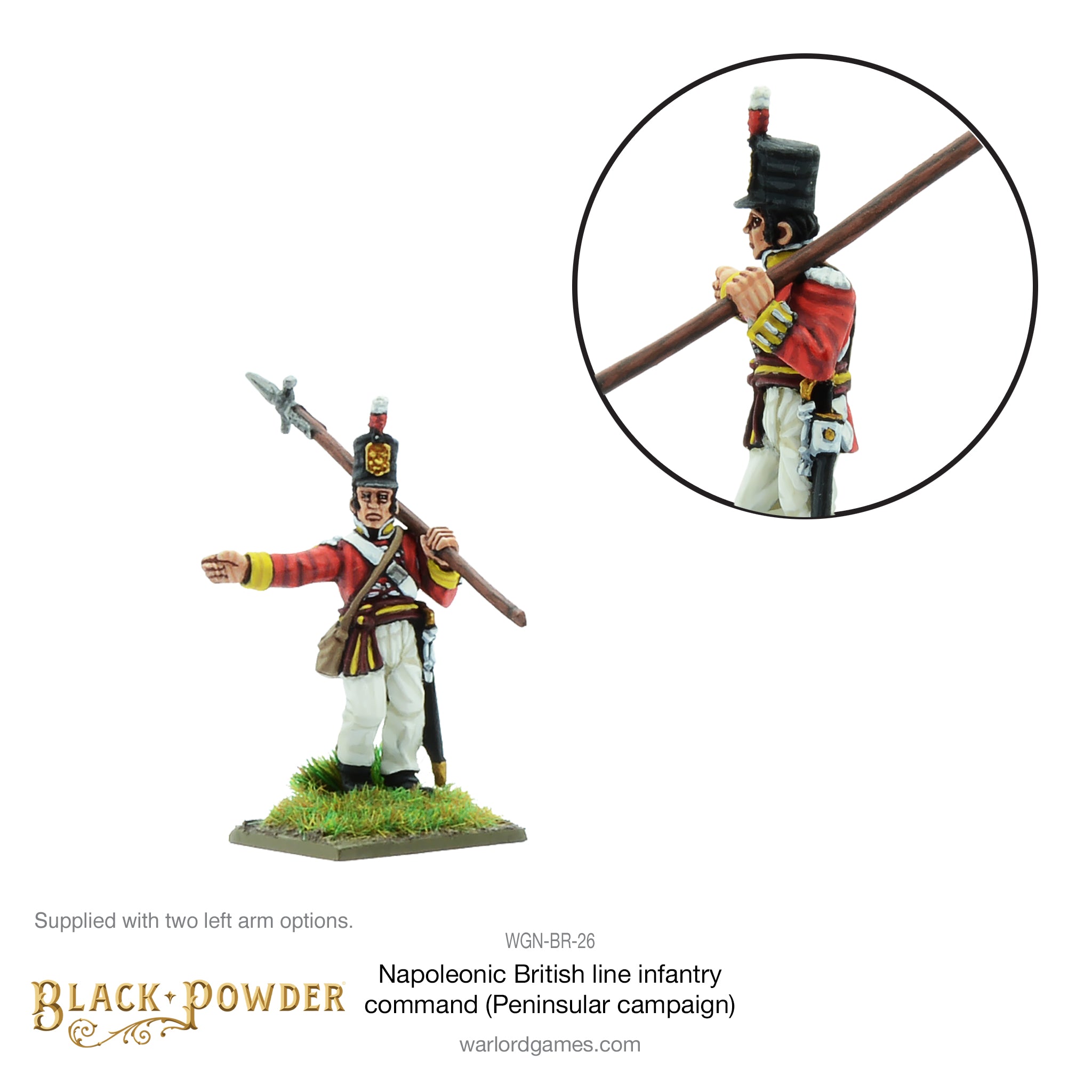 Napoleonic British Line Infantry command (Pensinsular War)