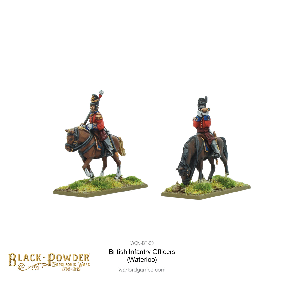 Mounted Napoleonic British Infantry Officers (Waterloo campaign)