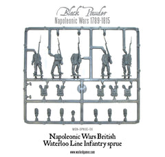 Napoleonic War British Waterloo Line Infantry sprue