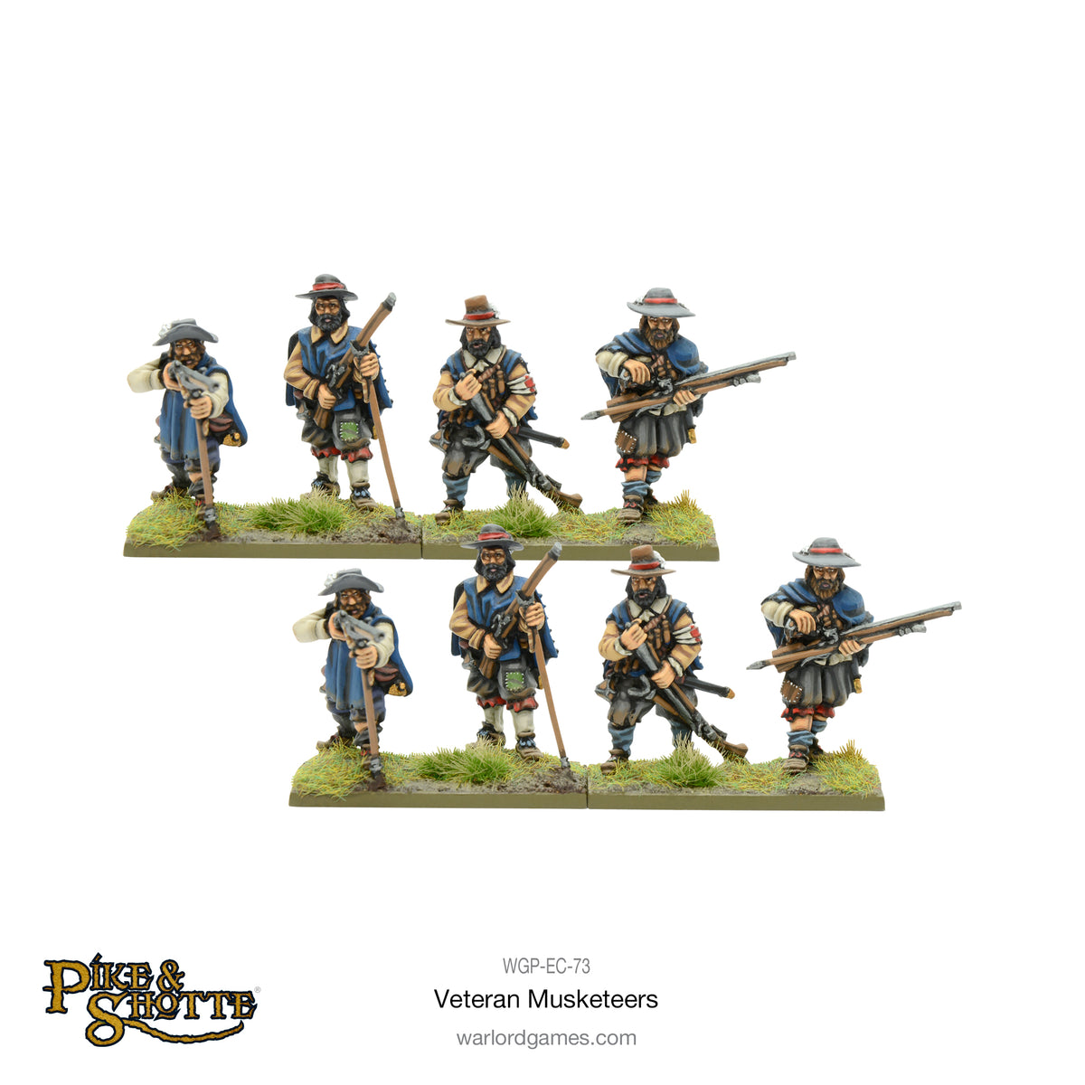 Pike & Shotte Veteran Musketeers