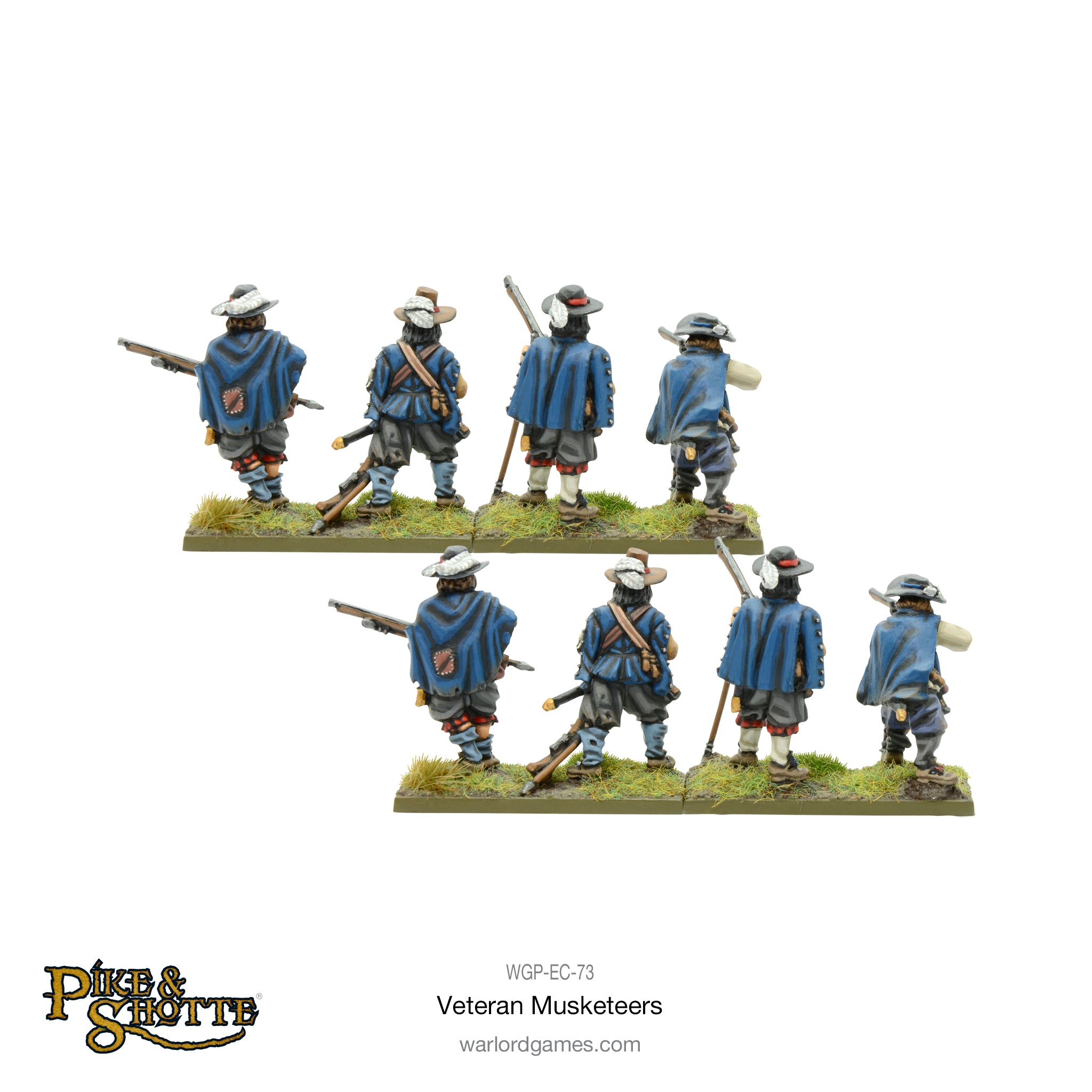 Pike & Shotte Veteran Musketeers