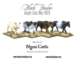 Nguni Cattle