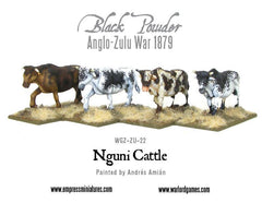 Nguni Cattle