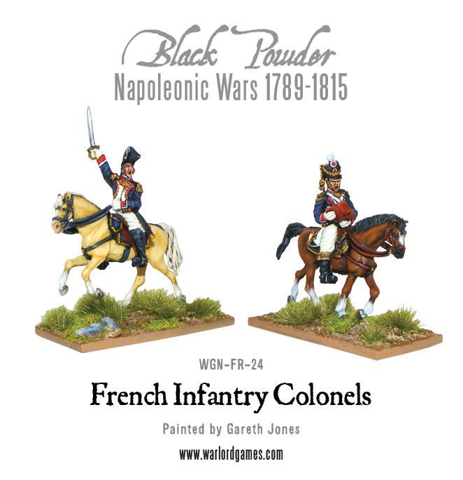 Mounted Napoleonic French Infantry Colonels