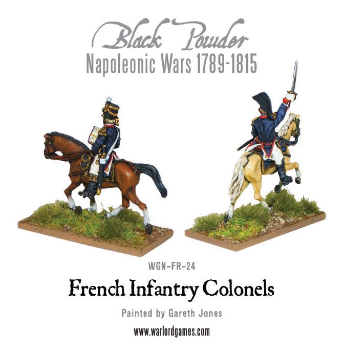 Mounted Napoleonic French Infantry Colonels