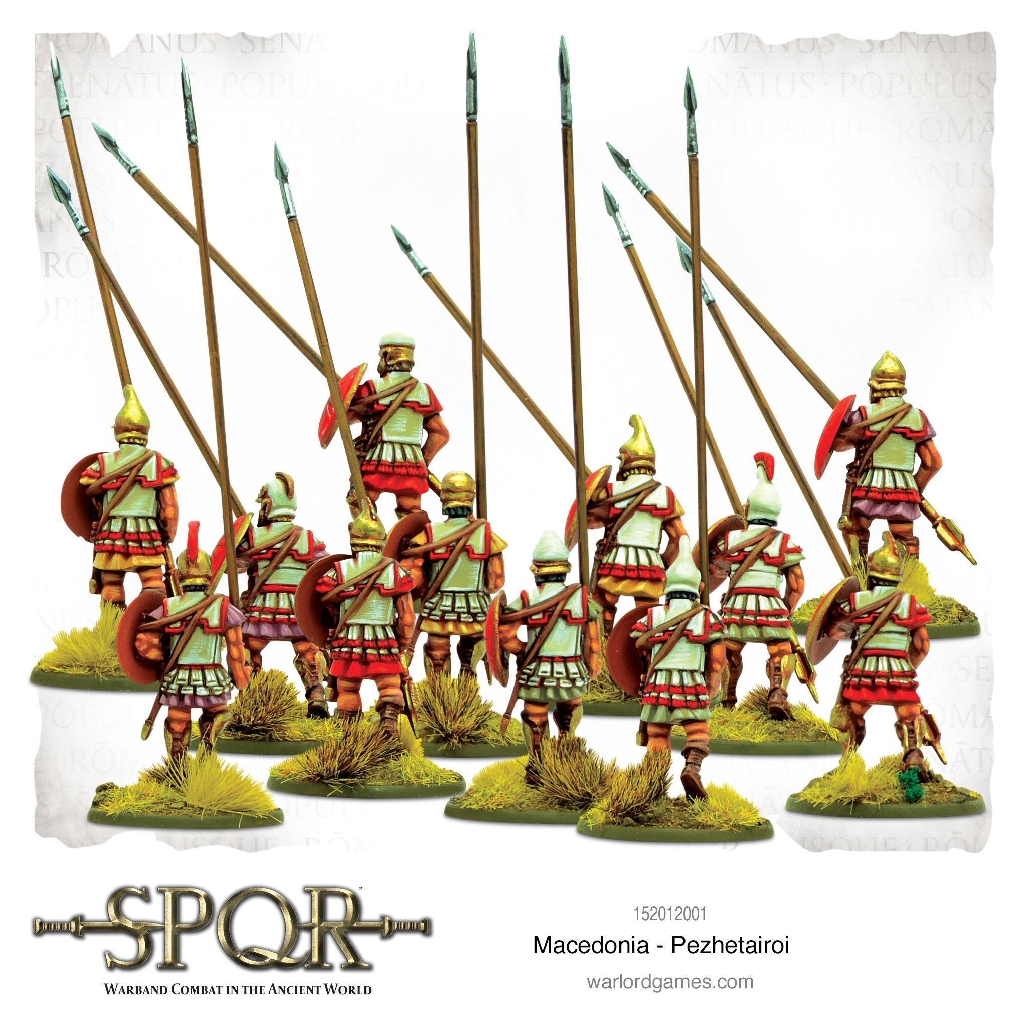 SPQR: Macedonia - Pezhetairoi