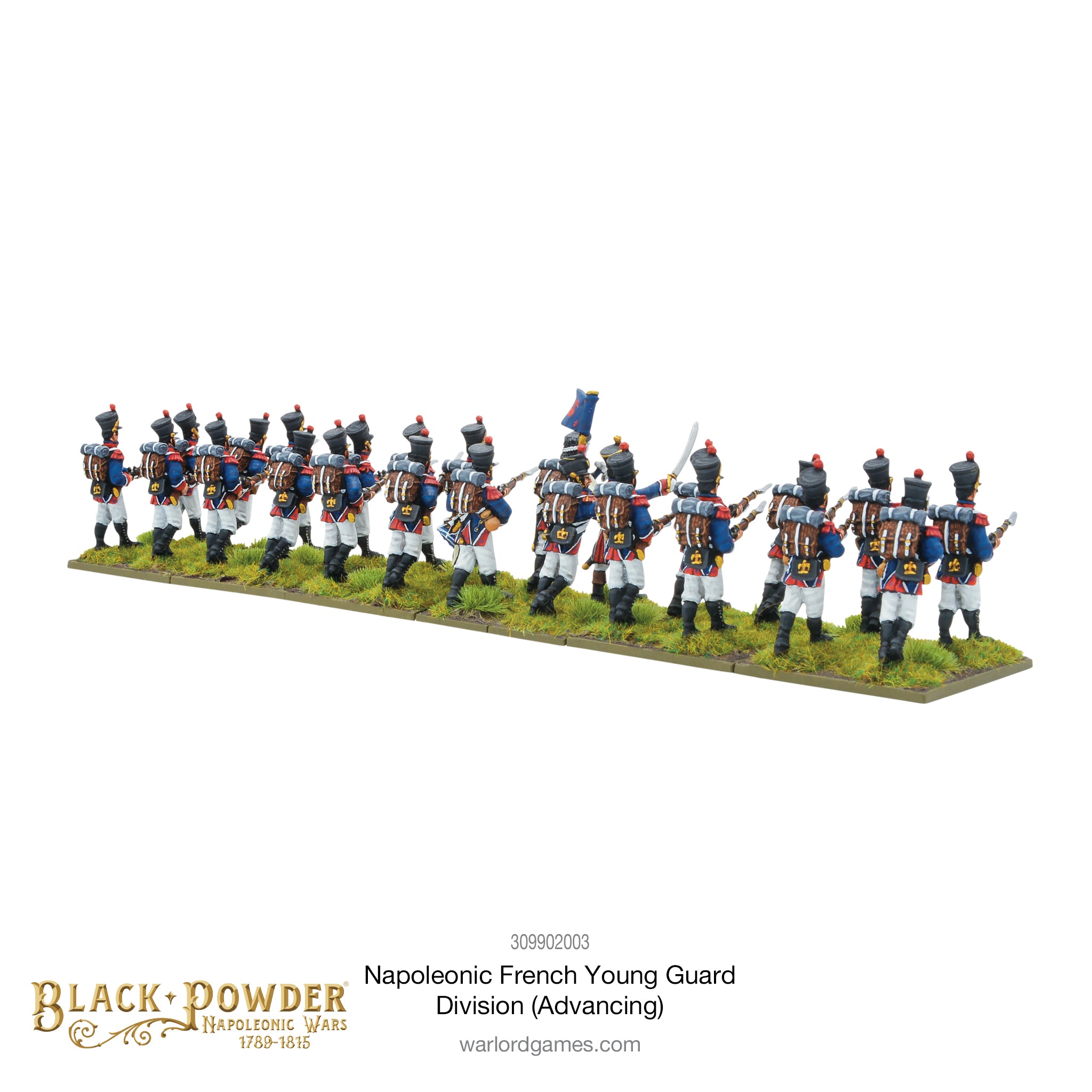 Napoleonic French Young Guard Division (Advancing)