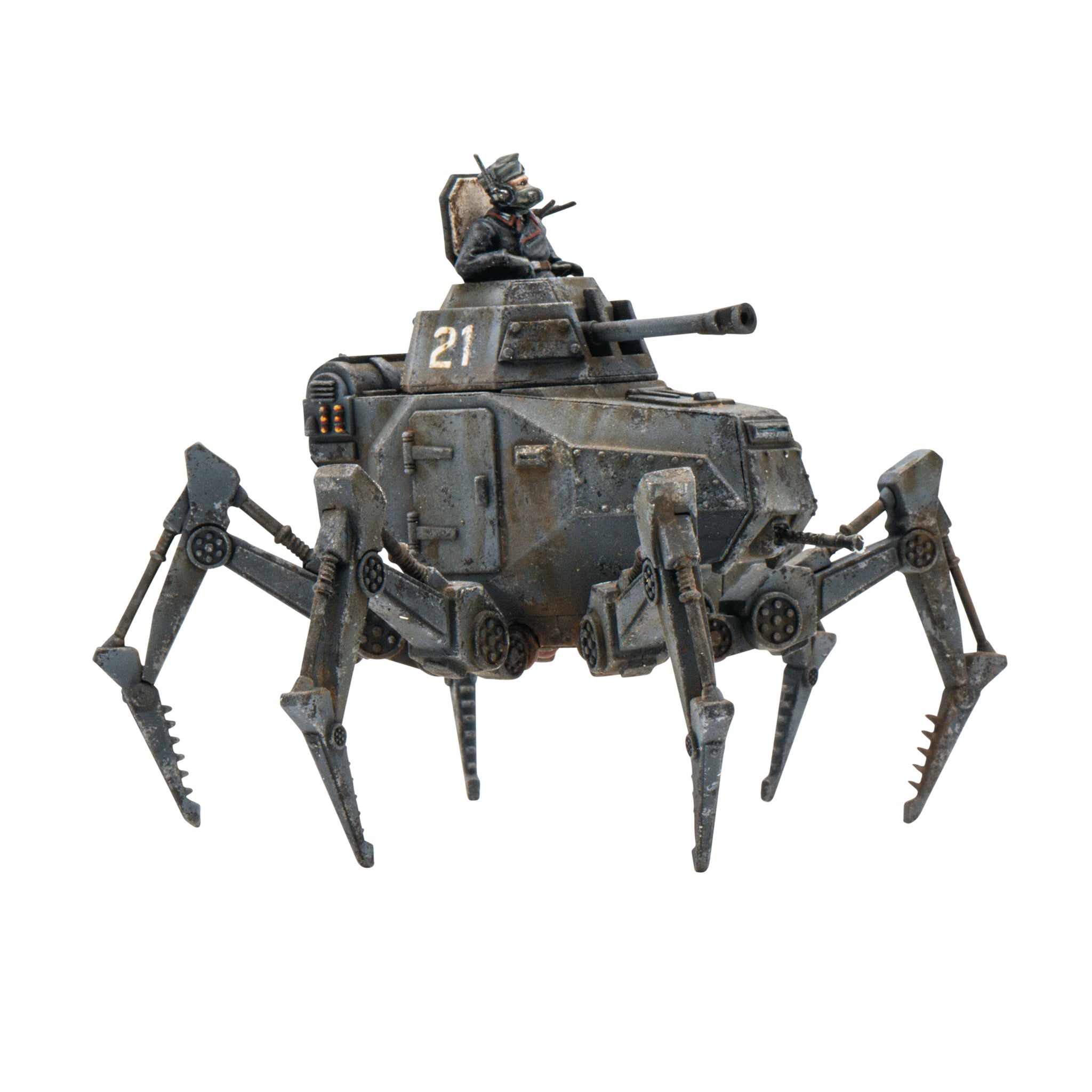 Vogelspinne Light Walker