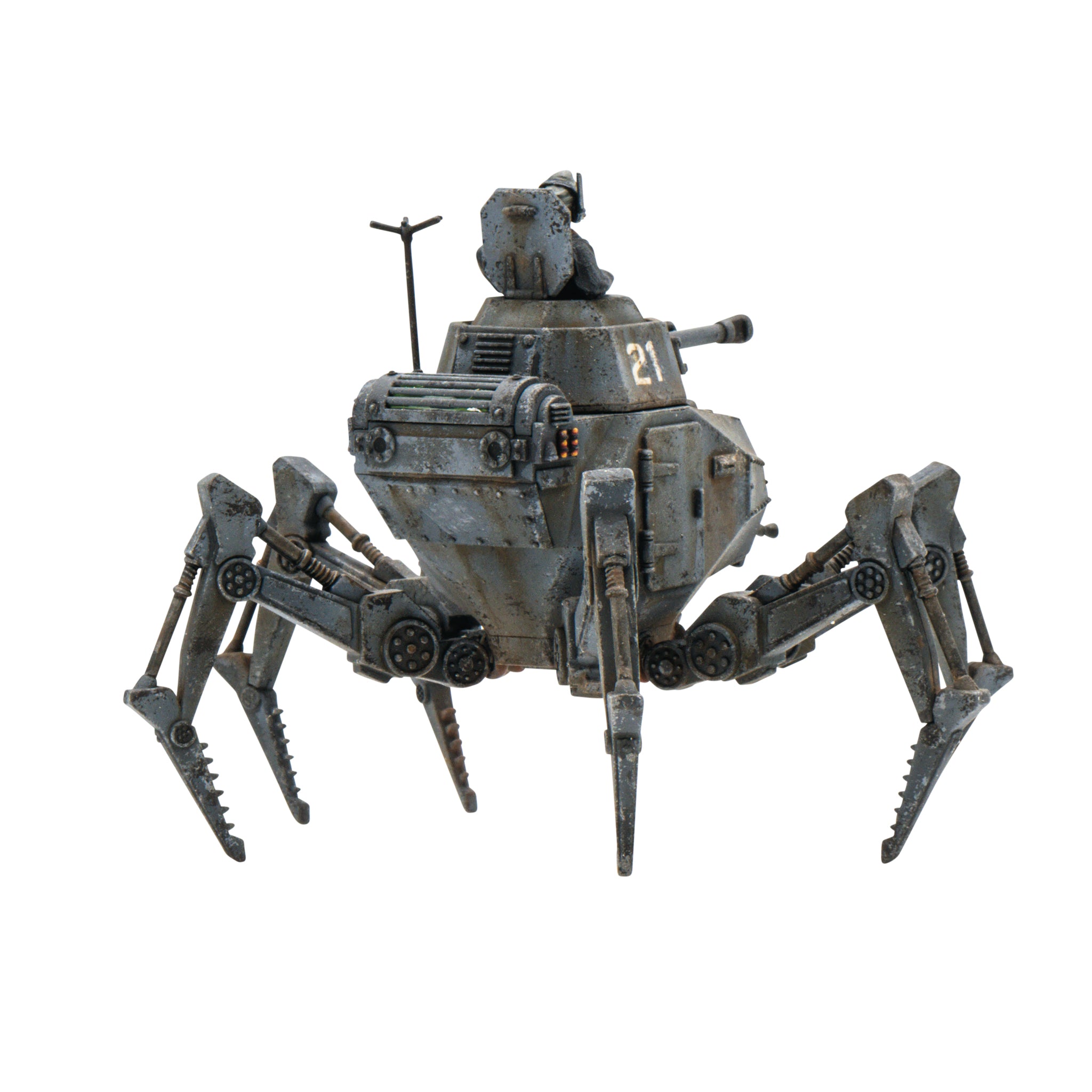 Vogelspinne Light Walker