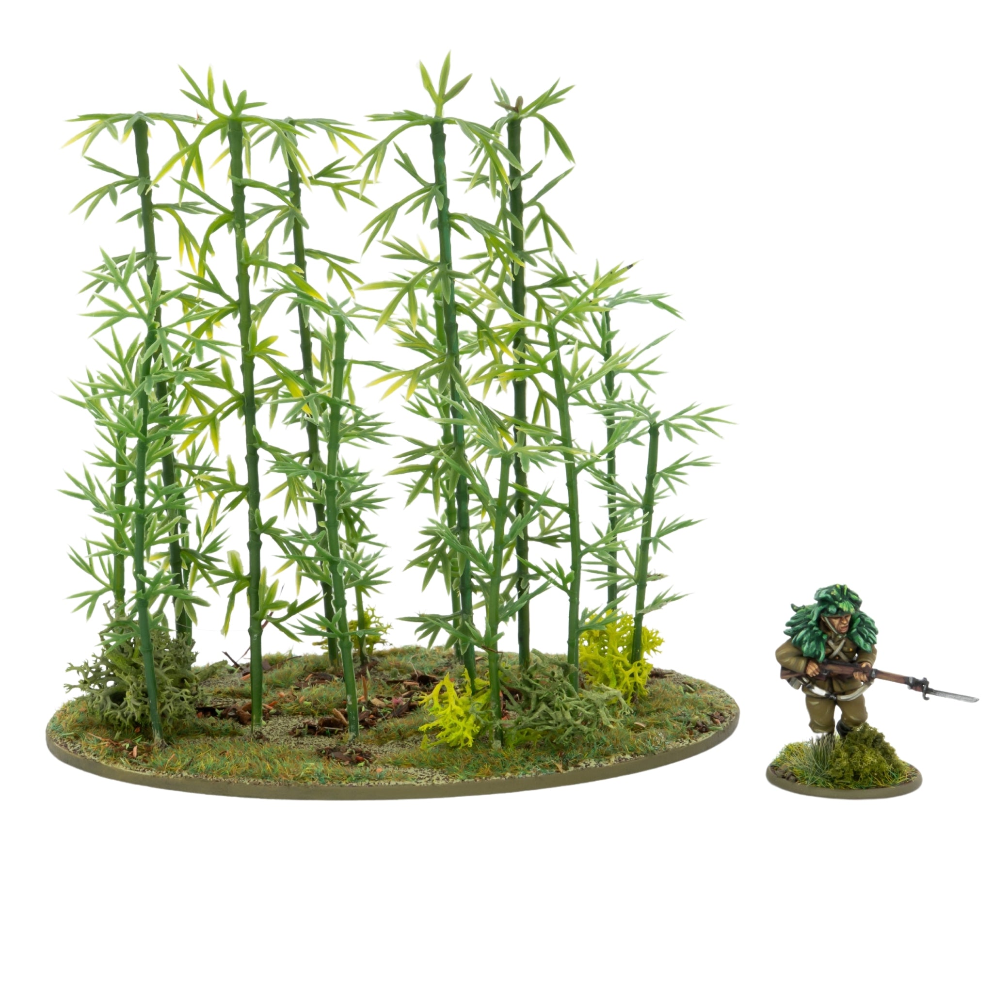 Japanese Bamboo Bushes