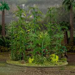 Japanese Bamboo Bushes