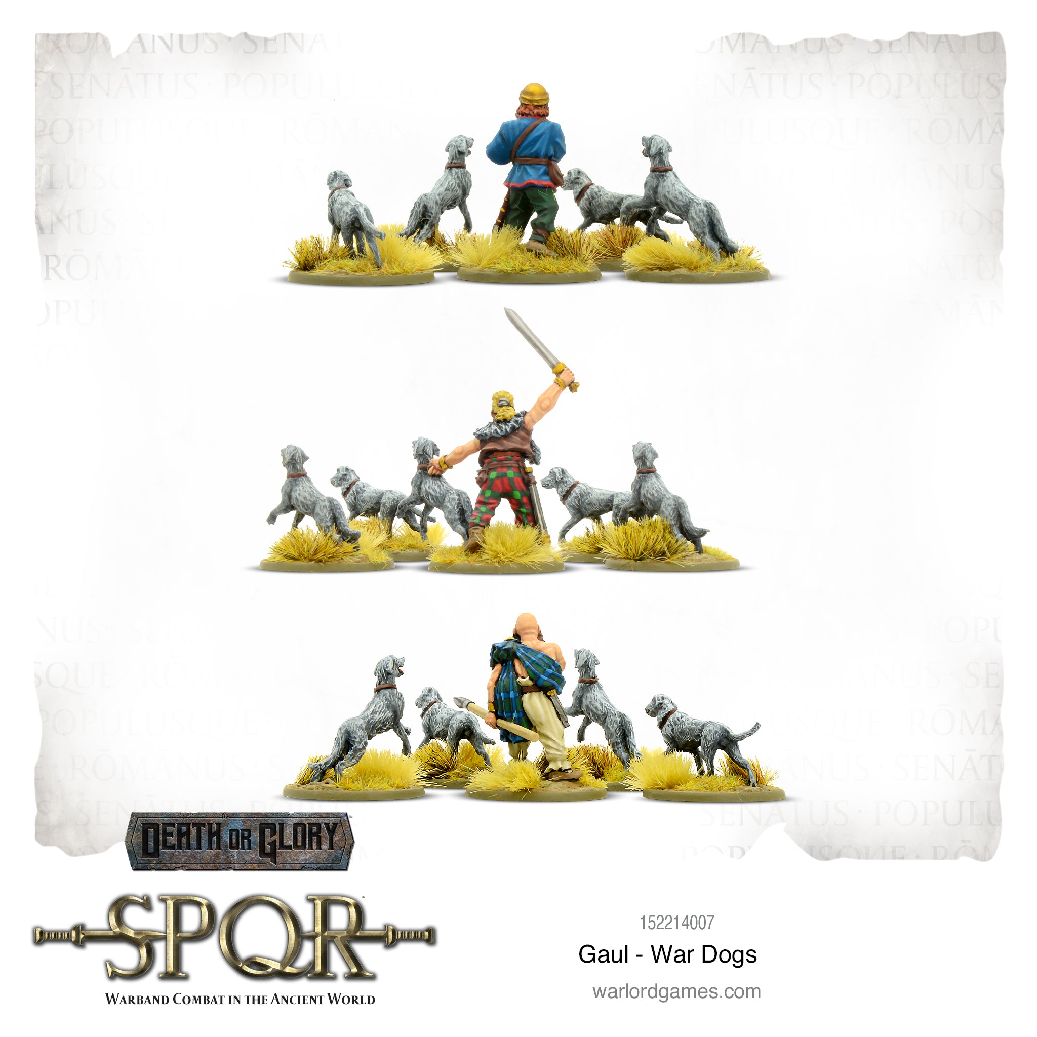 SPQR: Gaul - War Dogs