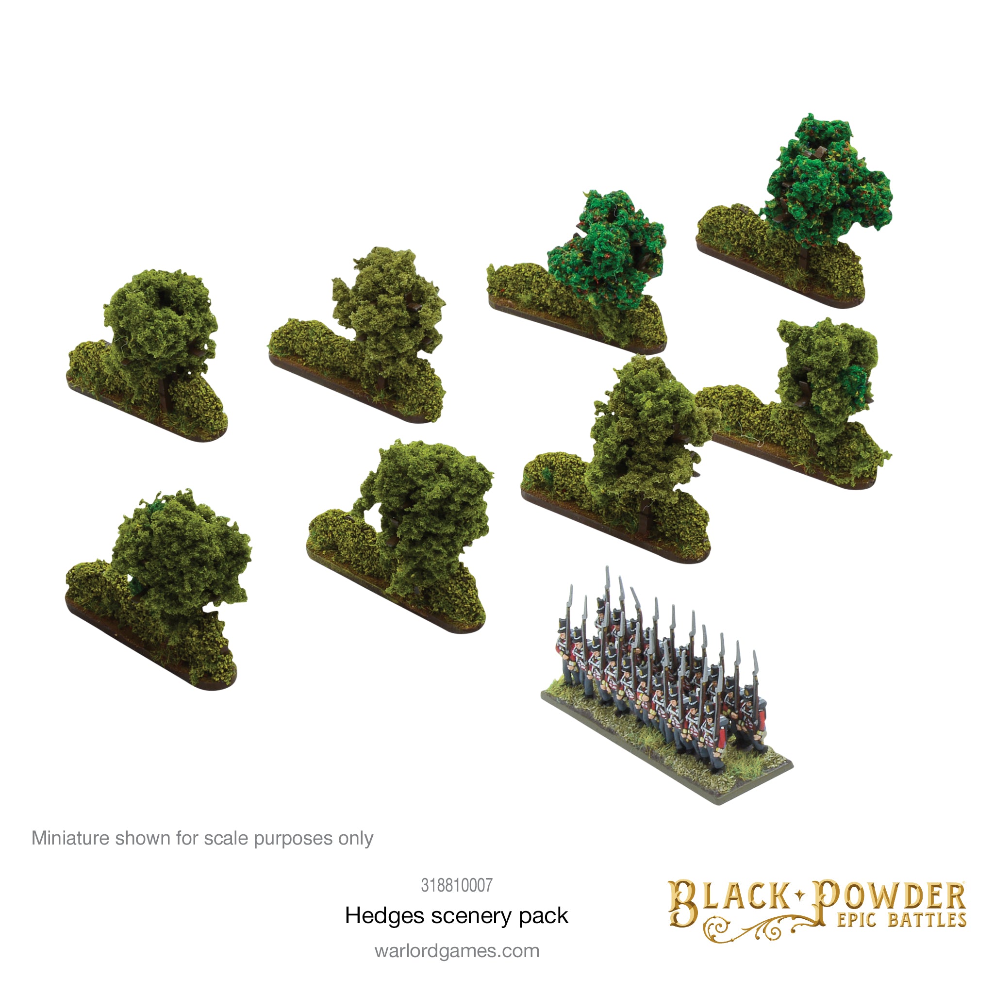 Black Powder Epic Battles: Hedges