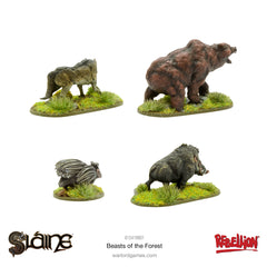 Sláine - Beasts of the Forest