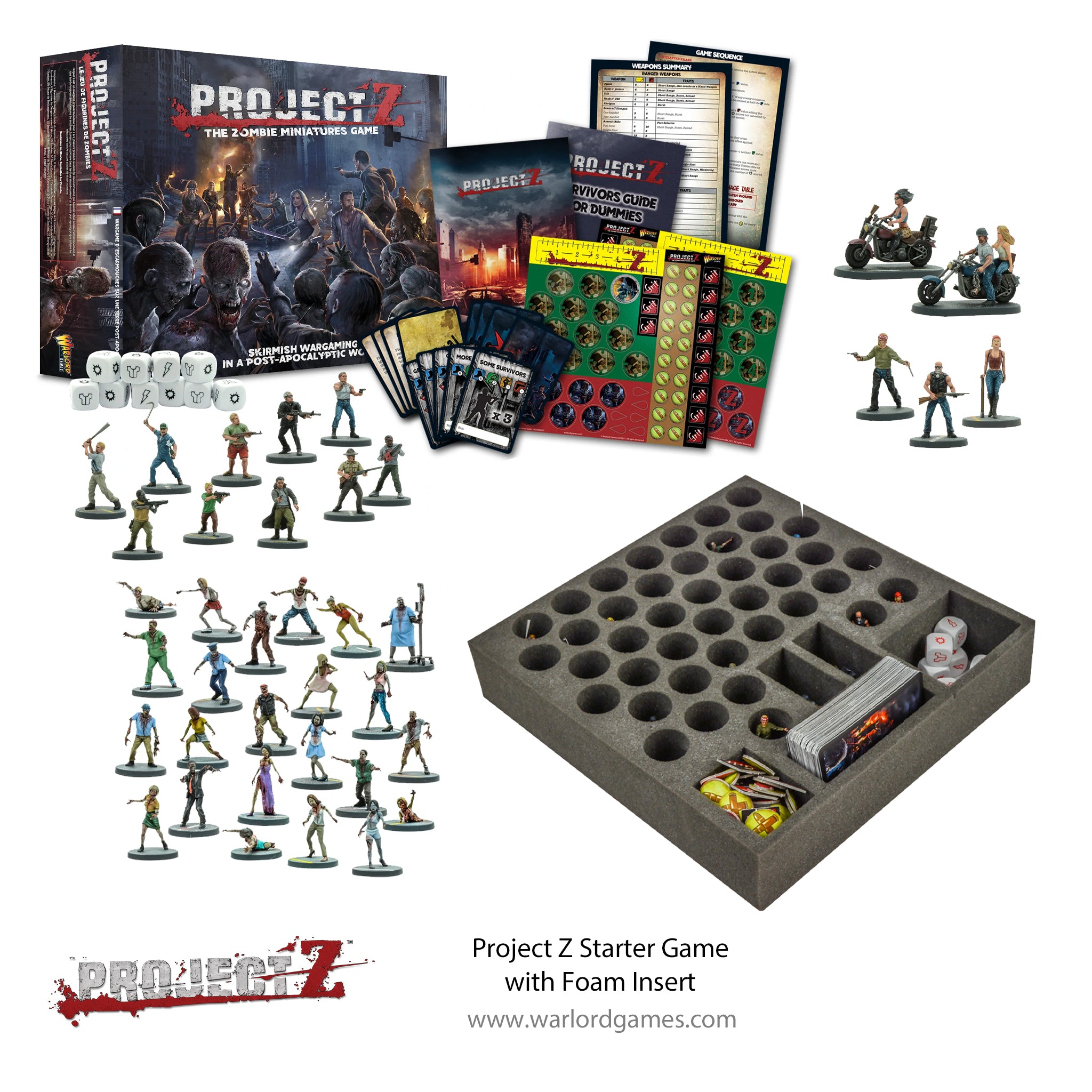 Project Z Starter Game With Foam Insert