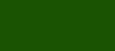 Model Colour 823 - Luftwaffe Camo Green