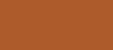 Model Colour 981 - Orange Brown