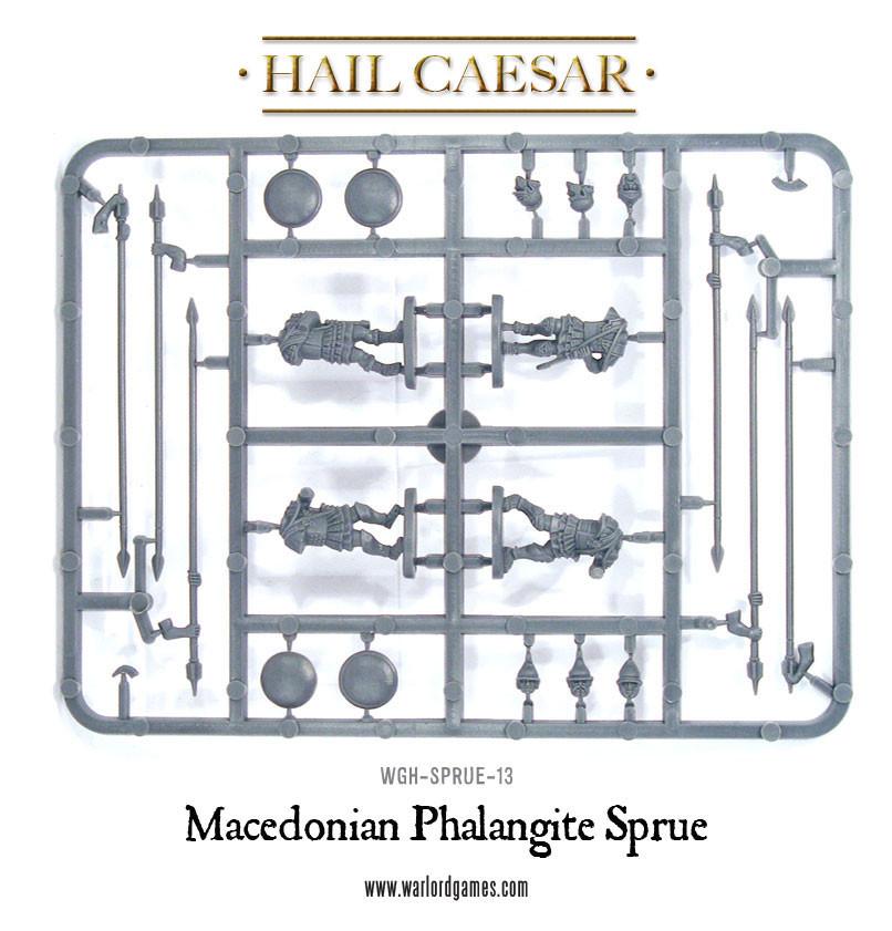 Macedonian Phalangite Sprue