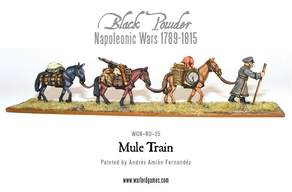 Napoleonic Wars: Mule Train 1789-1815